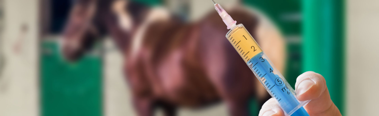equine-vaccination-best-practices-banner