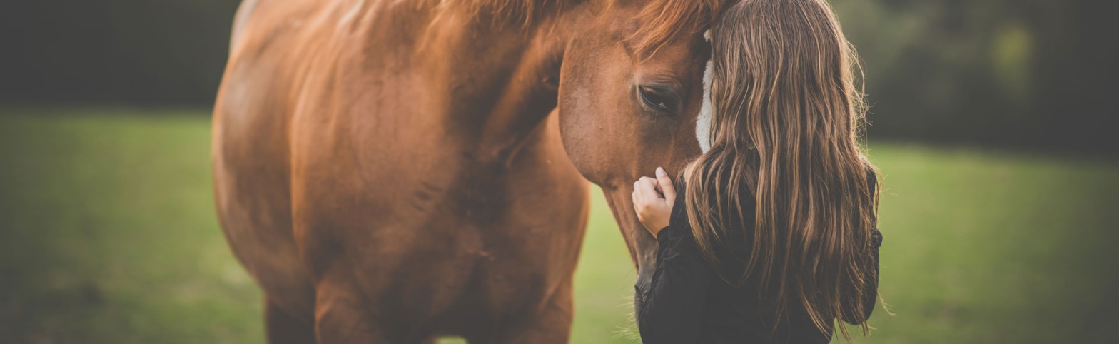 caring-for-your-horse-celebrating-national-horse-protection-day-banner