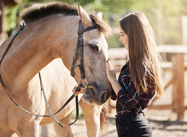 Caring For Your Pregnant Horse Tucson, AZ Adobe Veterinary Center