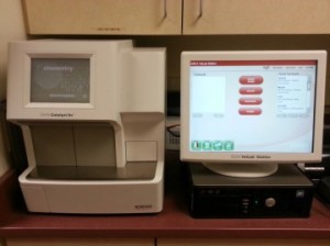 My pets appear healthy…why do they need bloodwork?