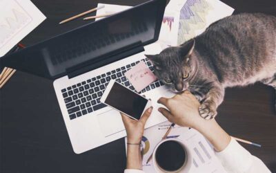 Answering Your Questions about Novel Coronavirus and Your Pets