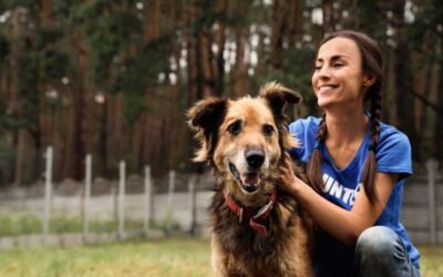 Do You Need to License Your Dog?