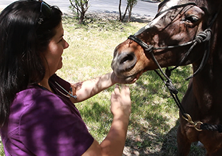 The Importance of the Veterinarian-Client-Patient Relationship