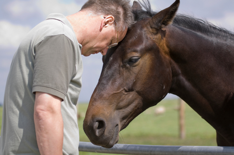 Prepare Your Horse for a Disaster: Assembling a First Aid Kit for the Barn