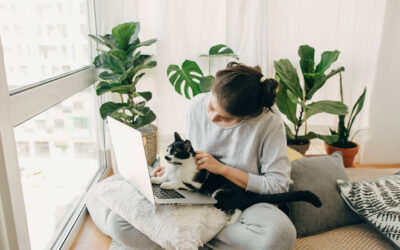 Benefits of Spaying and Neutering Your Pets