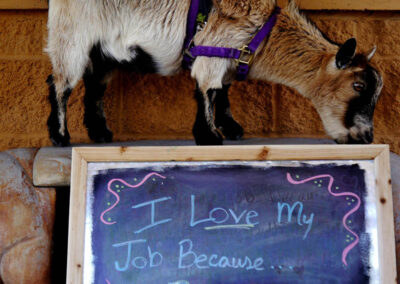 A picture of a person holding a chalk board