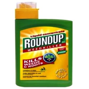 Common Household Hazards