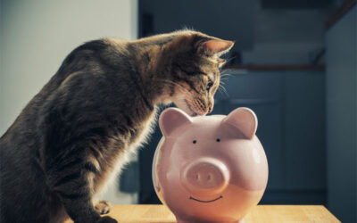 Managing the Cost of Veterinary Care