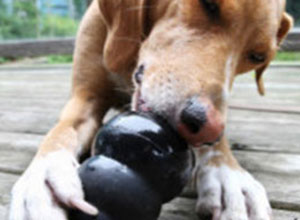 When they’re happy… We’re happy: Part 1