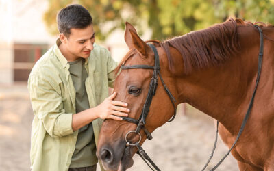 Equine Health: Understanding and Combating Common Parasites in Horses