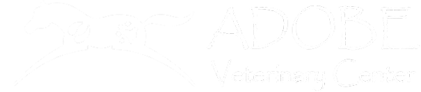 Adobe Vet Center
