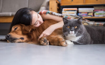 National Pet Month: 10 Ways to Show Your Pet You Care