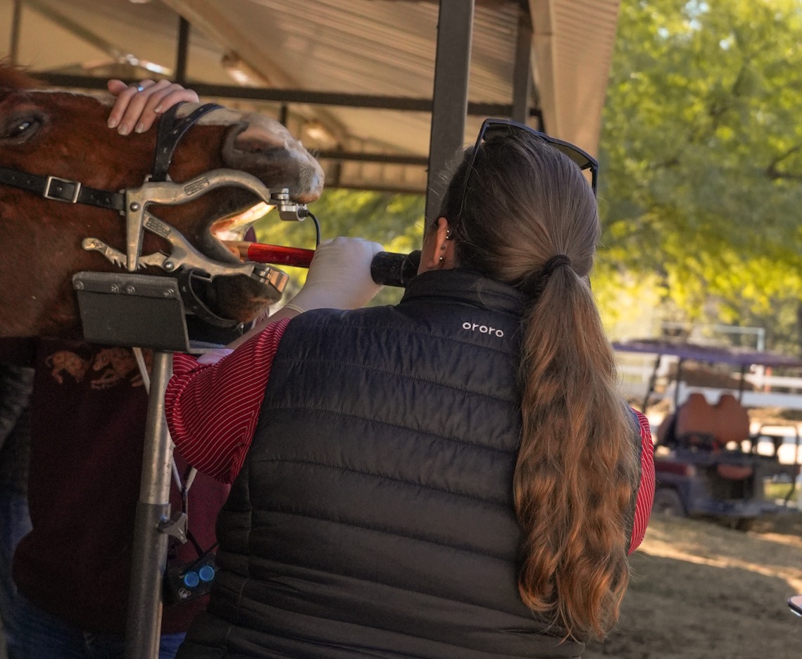 A full-mouth speculum is placed to gently hold the mouth open so every tooth and soft tissue surface can be examined.