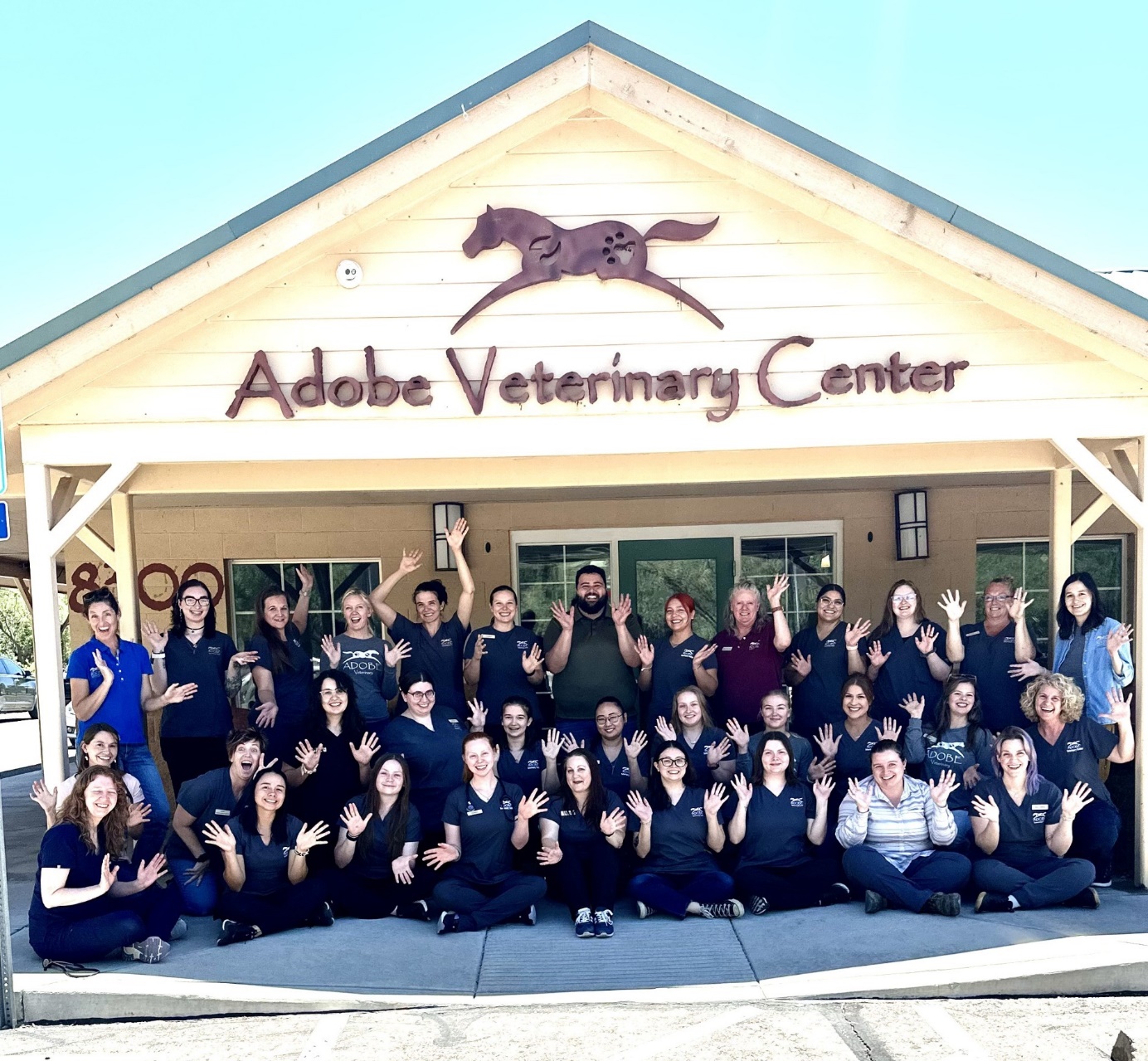 winter joint pain in dogs and cats, A group photo of a vet center