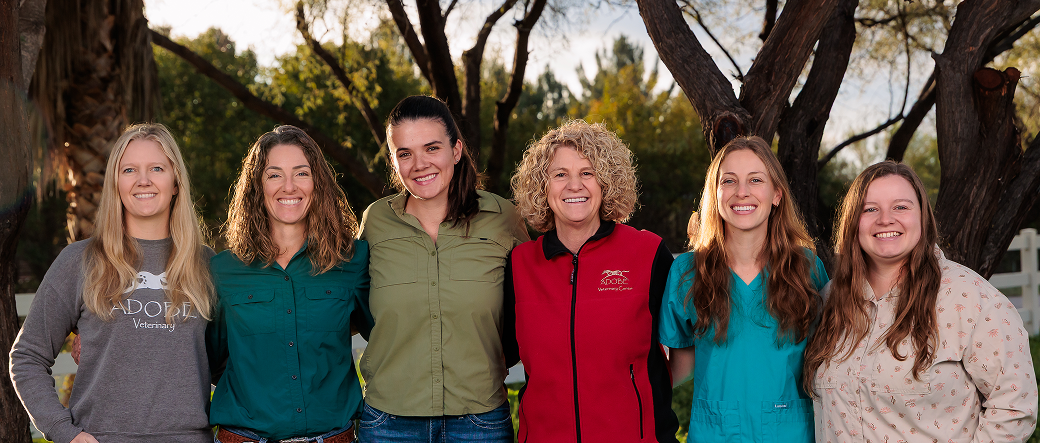 A picture of a group of people smiling