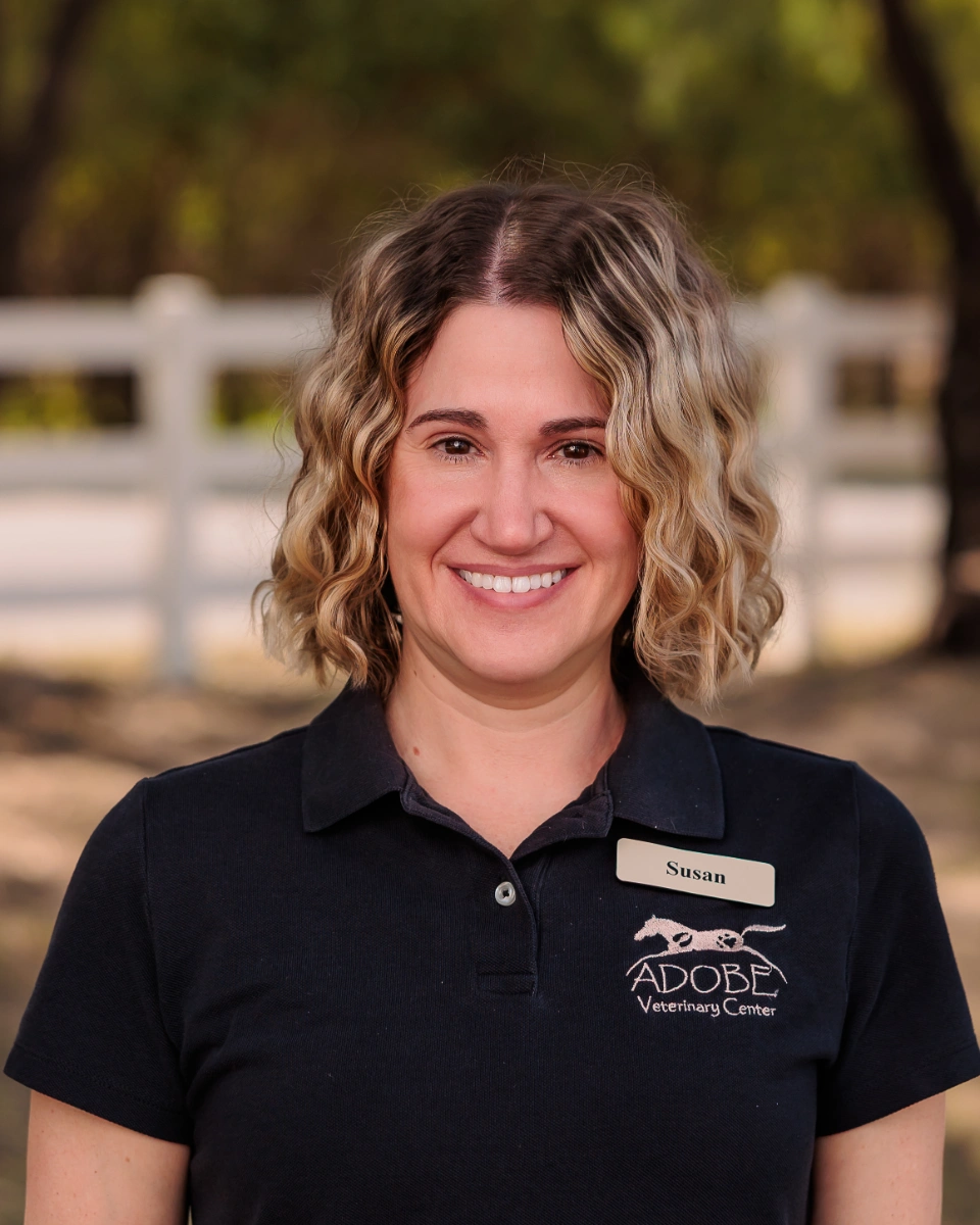 a portrait of a woman smiling