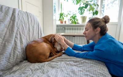 13 Pet Emergencies in Tucson You Should Never Ignore