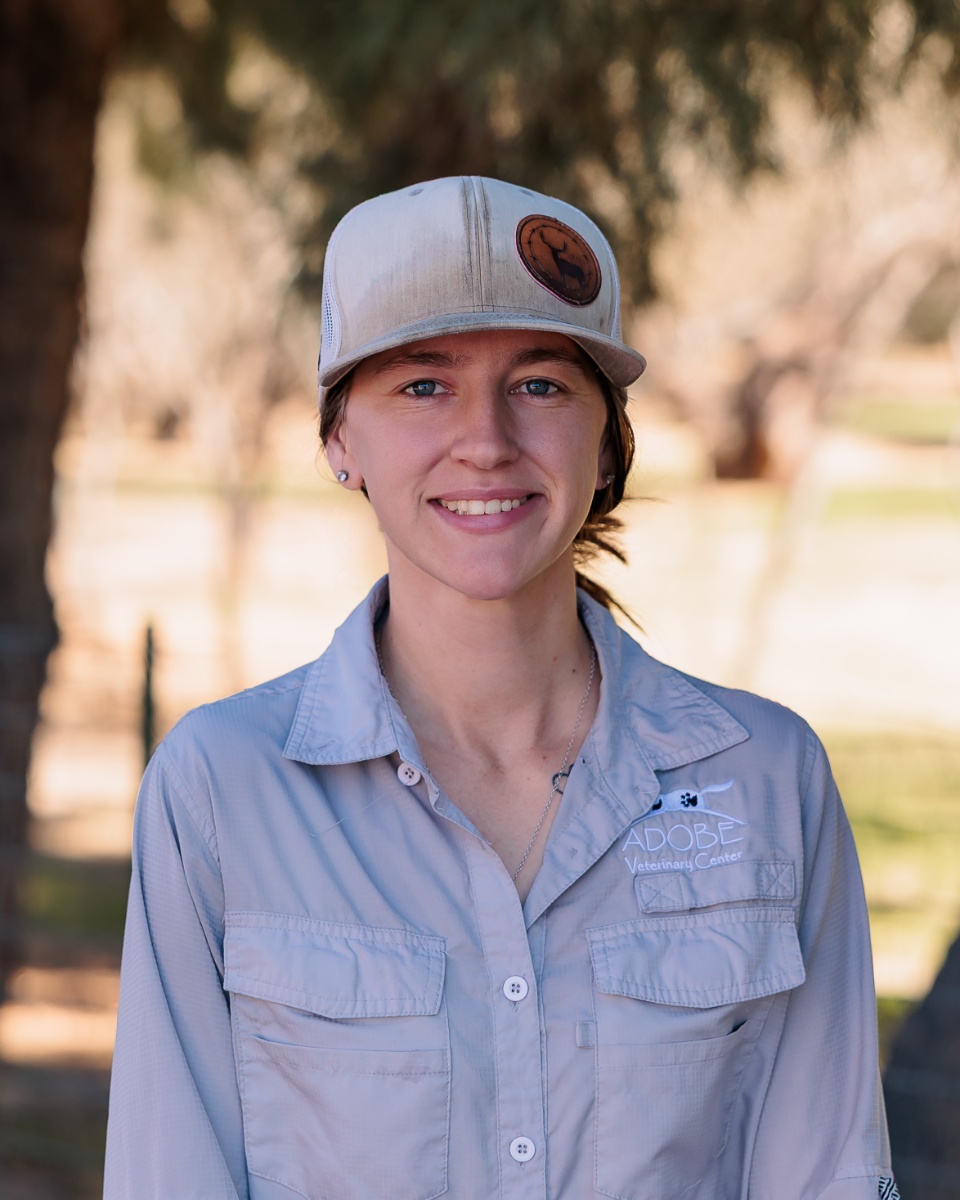a portrait of a woman smiling