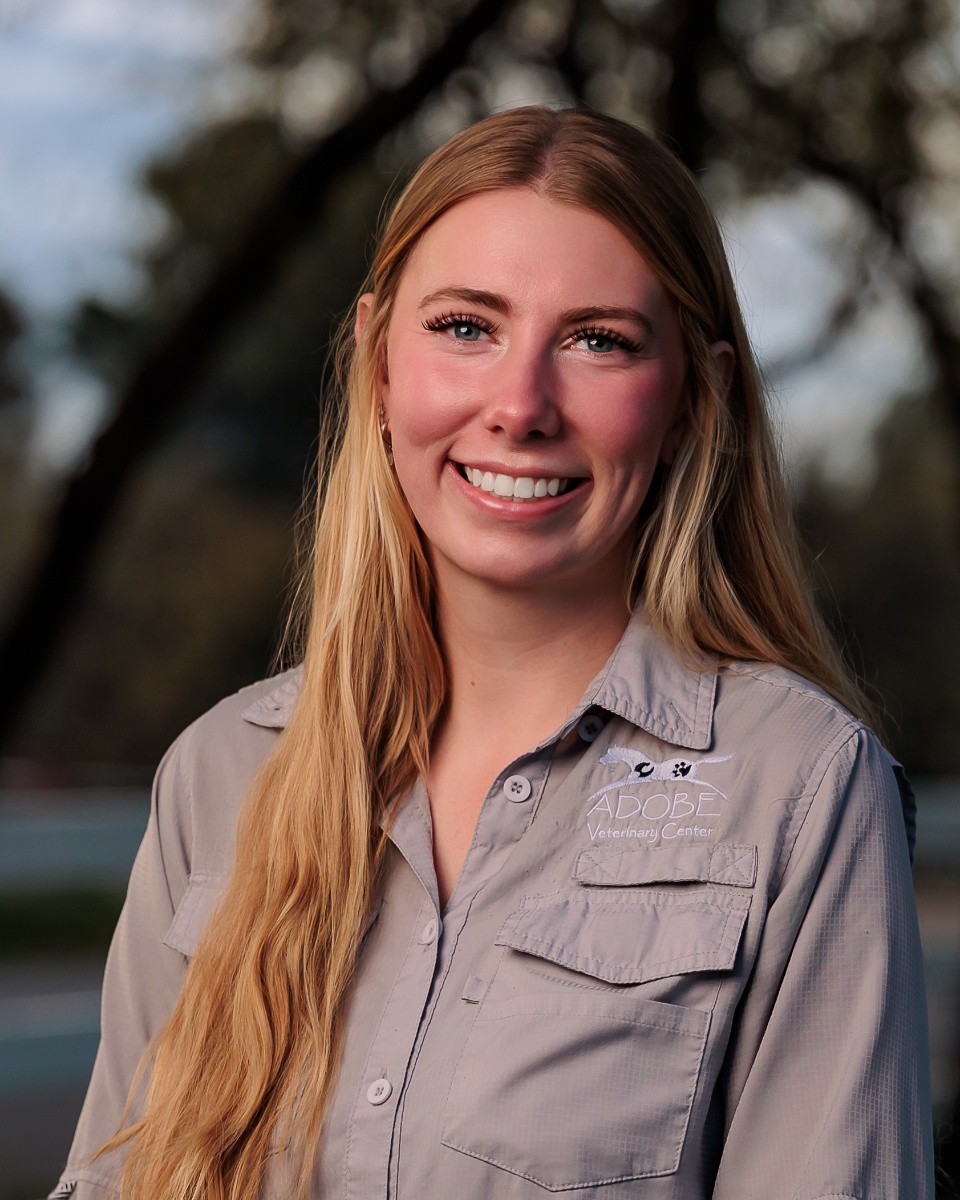 a portrait of a woman smiling