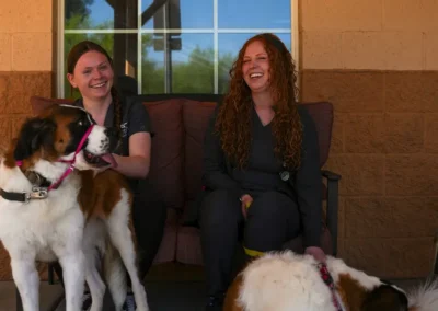Two veterinarians laugh with two Saint Bernard dogs in front of a building with a large window.