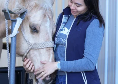 Woman gently petting a palomino horse's face in a stable