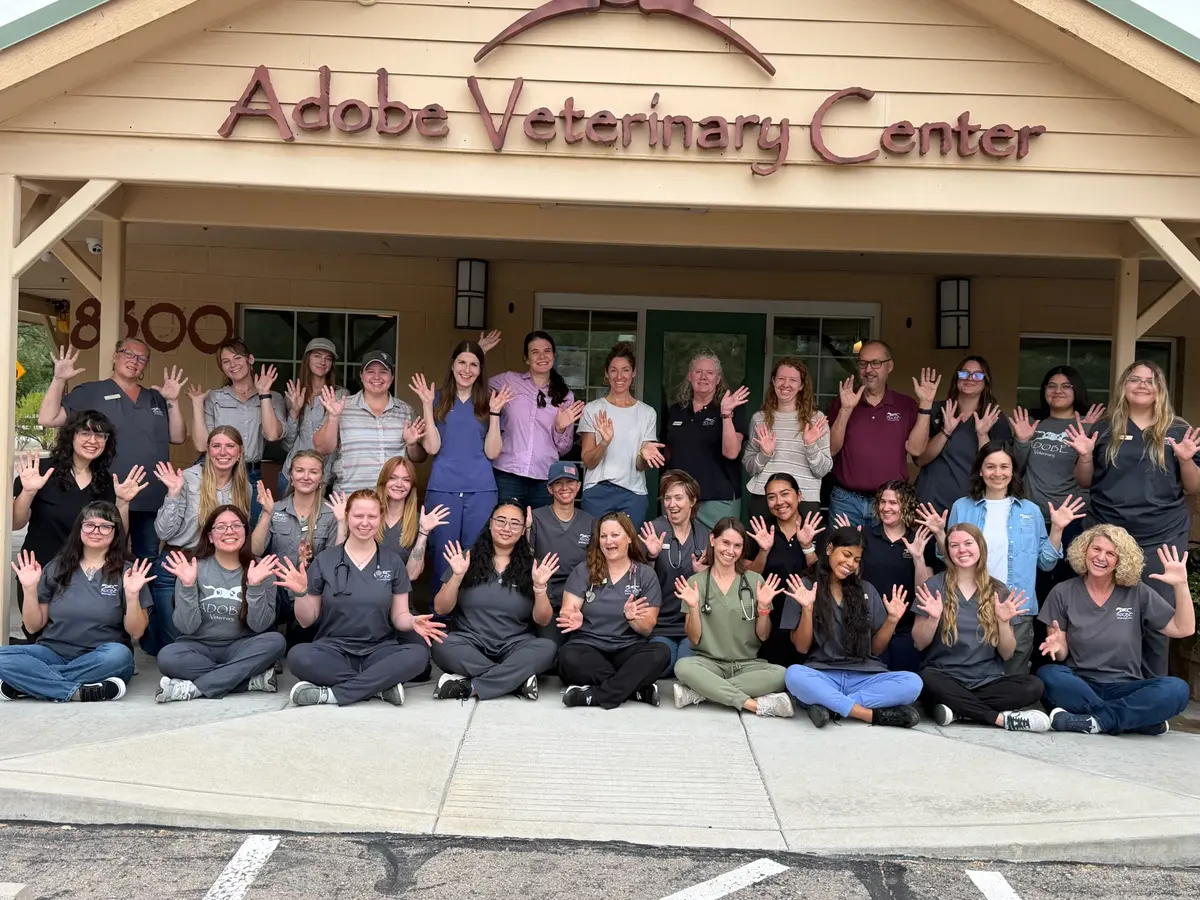 Adobe Veterinary Center team smiling and waving outside their building.