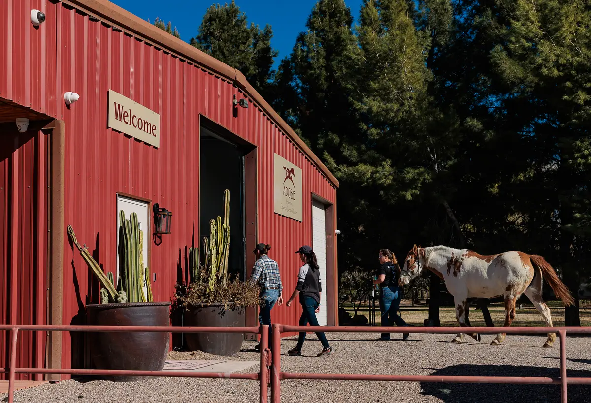 Adobe Equine's red building with a "Welcome" sign and a pinto horse being led by two women.