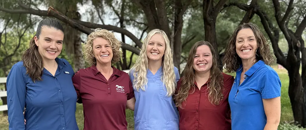 A picture of a group of people smiling