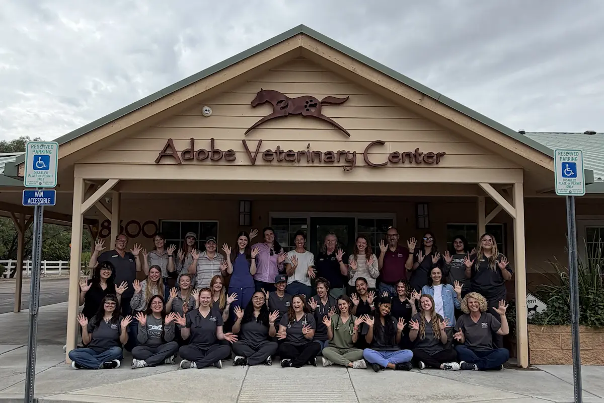 A group picture of a group of people at Adobe veterinary center