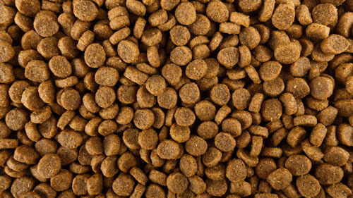July__19_-_Can_Grain-Free_Diets_Cause_Heart_Disease_in_Dogs_strip_2
